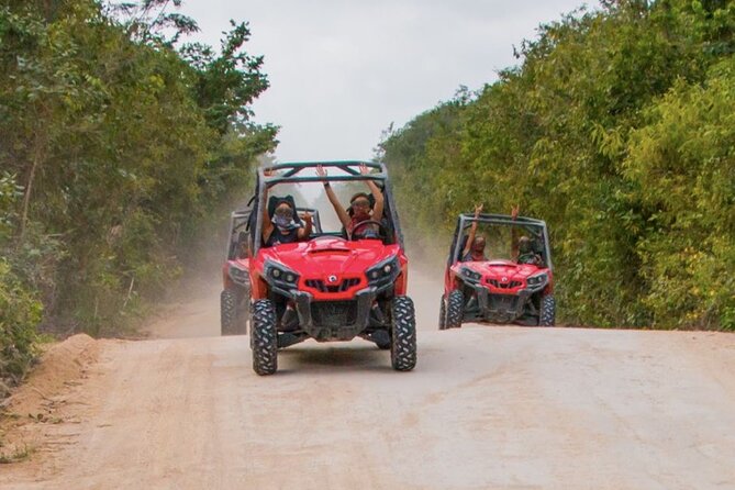 Jungle Buggy Tour from Playa del Carmen Including Cenote Swim - Group size, timing, and the family question