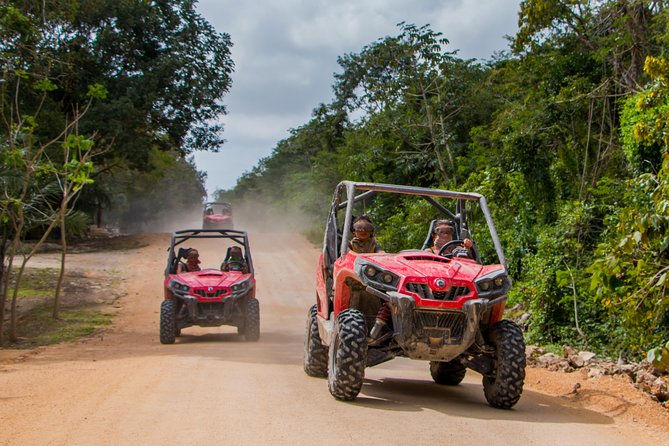 Jungle Buggy Tour from Playa del Carmen Including Cenote Swim - Pickup from Playa del Carmen and the ride to the ranch