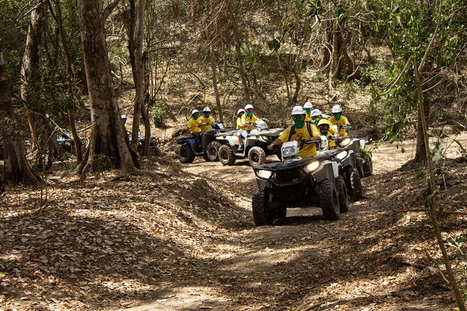 Jungle double ATV Tour "El Mirador" (ride tandem on ATV) - The key details at a glance