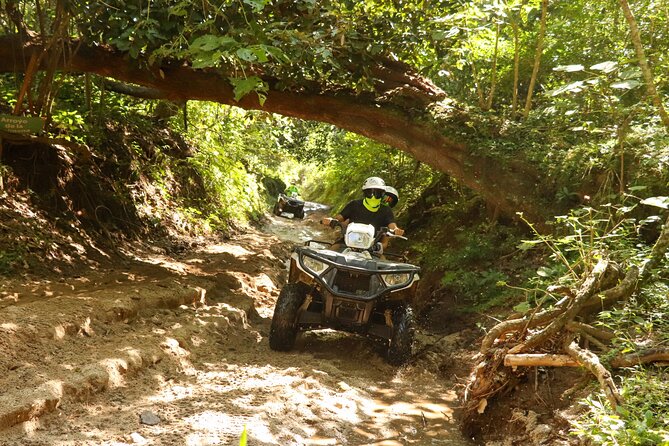 Jungle double ATV Tour "El Mirador" (ride tandem on ATV) - How the guide affects the experience