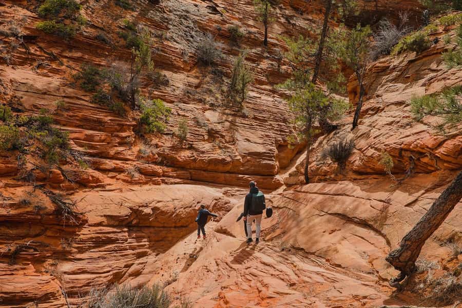 Kanab: Coral Pink Sand Dunes UTV, Slot Canyon & Sand Surfing - Is $134 Per Person a Fair Price?