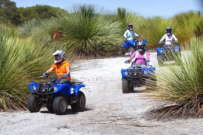 Kangaroo Island Quad Bike (ATV) Tours - Rocks, sand, mud, and hills on the trail