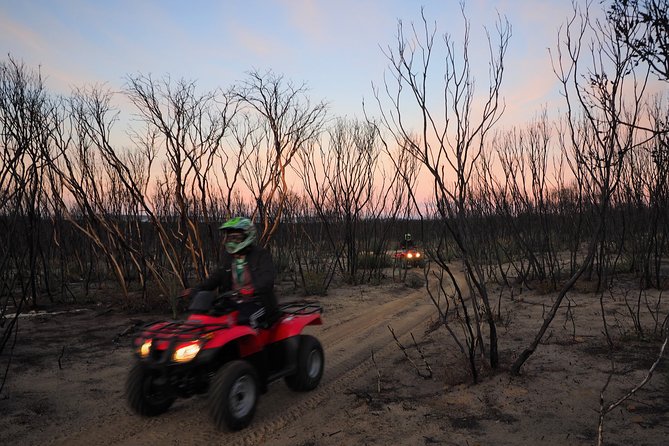 Kangaroo Island Quad Bike (ATV) Tours - Beaches, viewpoints, and the bush around Vivonne Bay