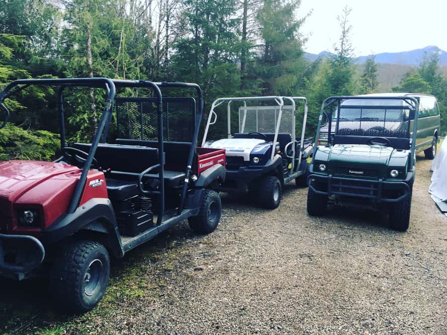 Ketchikan: Tongass Forest Alaska Bigfoot ATV Ride and Hike - From the cruise docks to Ward Cove