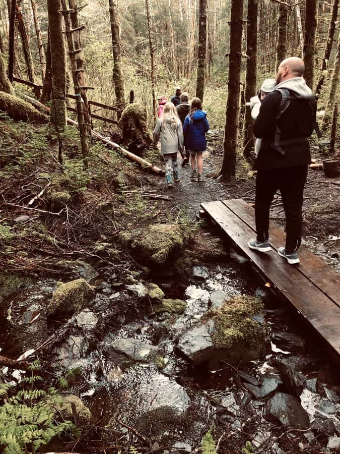Ketchikan: Tongass Forest Alaska Bigfoot ATV Ride and Hike - The shared UTV ride is brief, so set expectations early