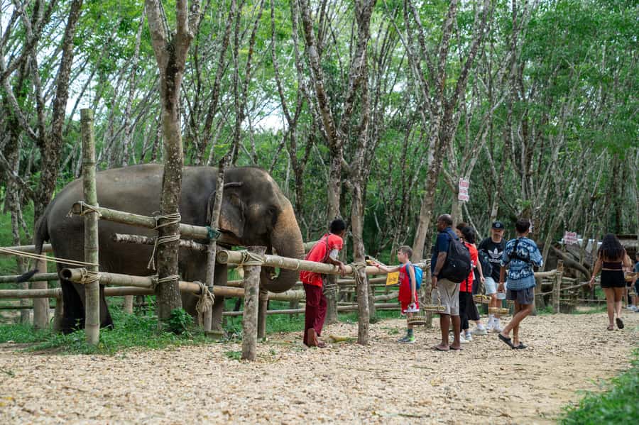 Khao Lak Multi-Adventure: Bamboo Rafting, ATV & Elephants - Is $112 per person good value?