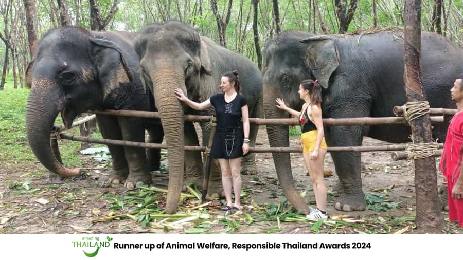 Khao Lak Wild ATV Quad Bike & Gentle Giants Experience - Safety First at Khaolak ATV Park