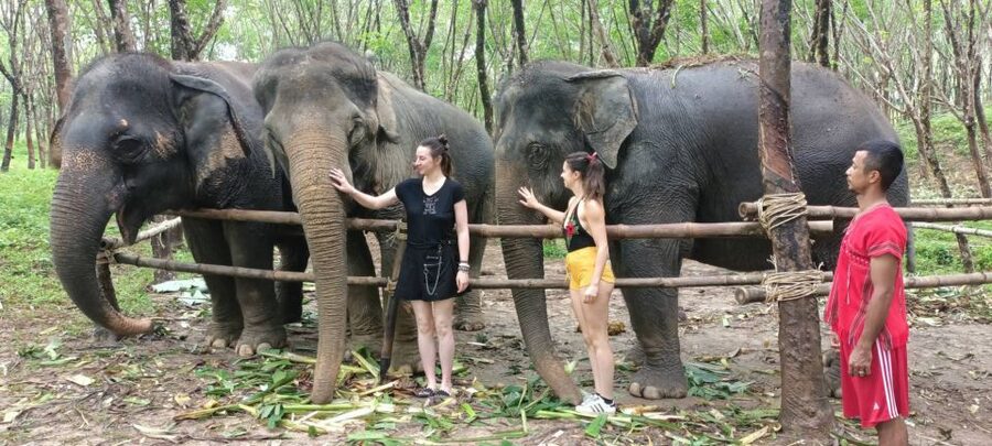 Khao Lak Wild ATV Quad Bike & Gentle Giants Experience - Families, Couples, and First-Time Riders