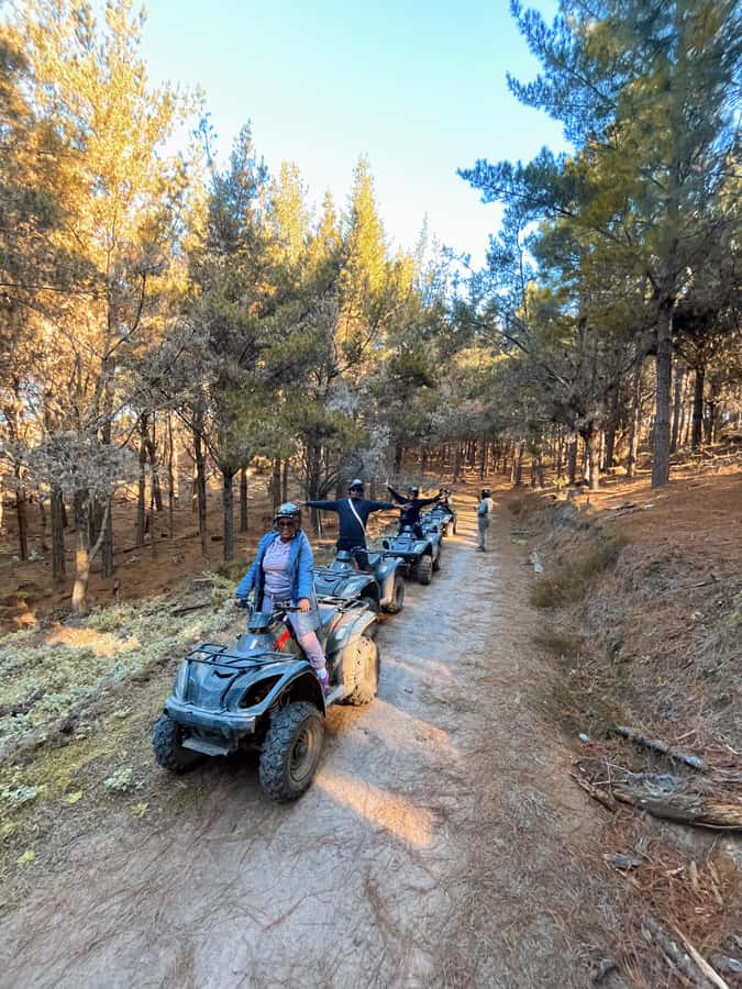 Knysna: Guided Quad Bike Tour in the Forest - Knysna quad biking at a glance