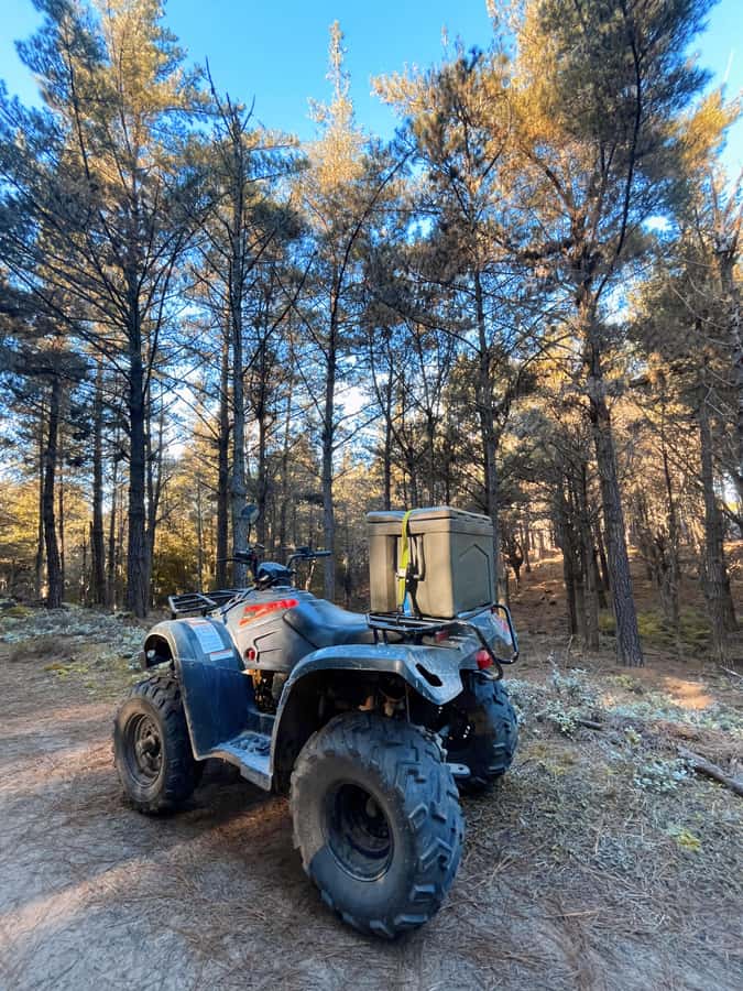 Knysna: Guided Quad Bike Tour in the Forest - What riding with a child involves