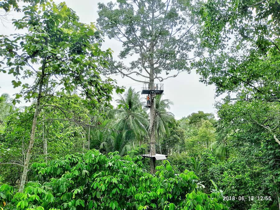 Koh Samui: ATV And Zipline Experience with Transfer - Key points to know before booking