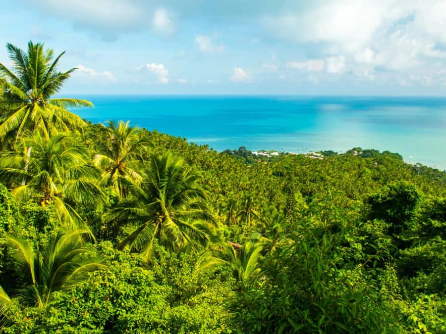 Koh Samui: Jungle, Mountains and Waterfalls ATV Tour - Gentle rivers and the seasonal waterfall