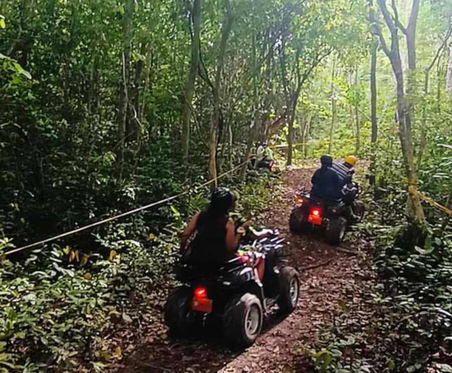 Koh Samui: Jungle, Mountains and Waterfalls ATV Tour - Who will enjoy this ride most?