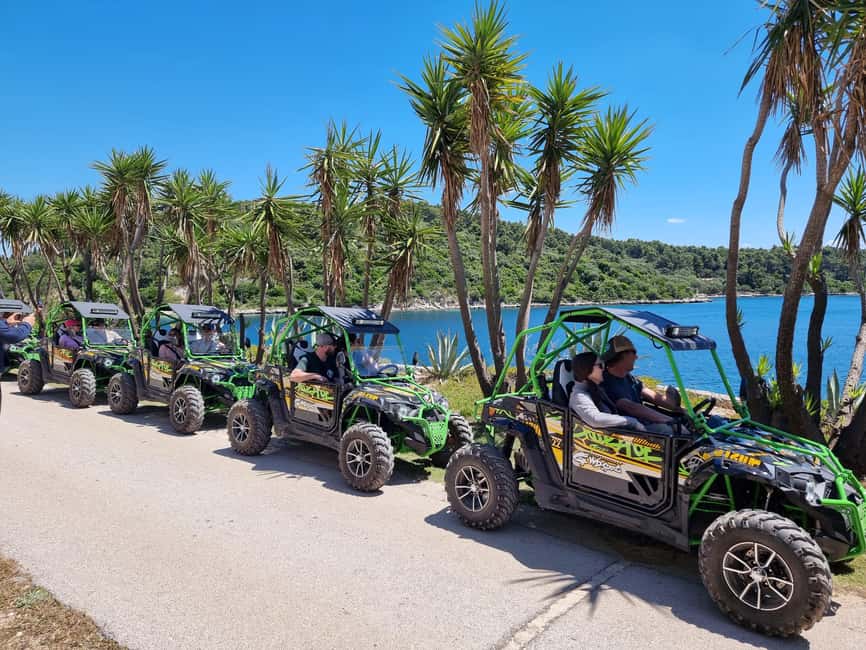 Korcula: Buggy Safari with Local Food and Wine Tasting - Key things to know before booking