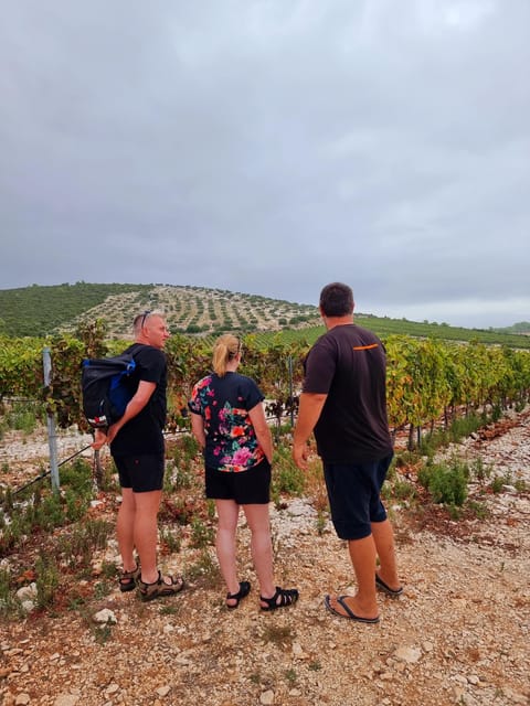 Korcula: Buggy Safari with Local Food and Wine Tasting - Lumbarda brings the best kind of pause