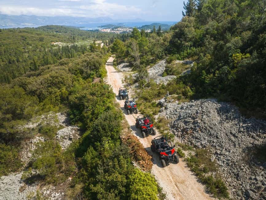 Korcula Buggy Safari With Wine Tasting - Lumbarda, olive trees, and distinctive grape vines