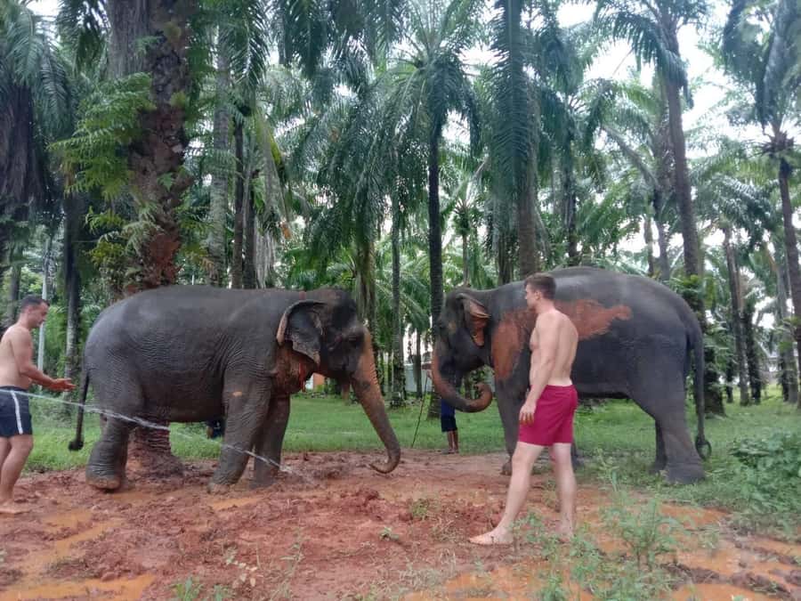 Krabi Elephant bathing and Atv adventure (30min/30min) - Key points to know before booking