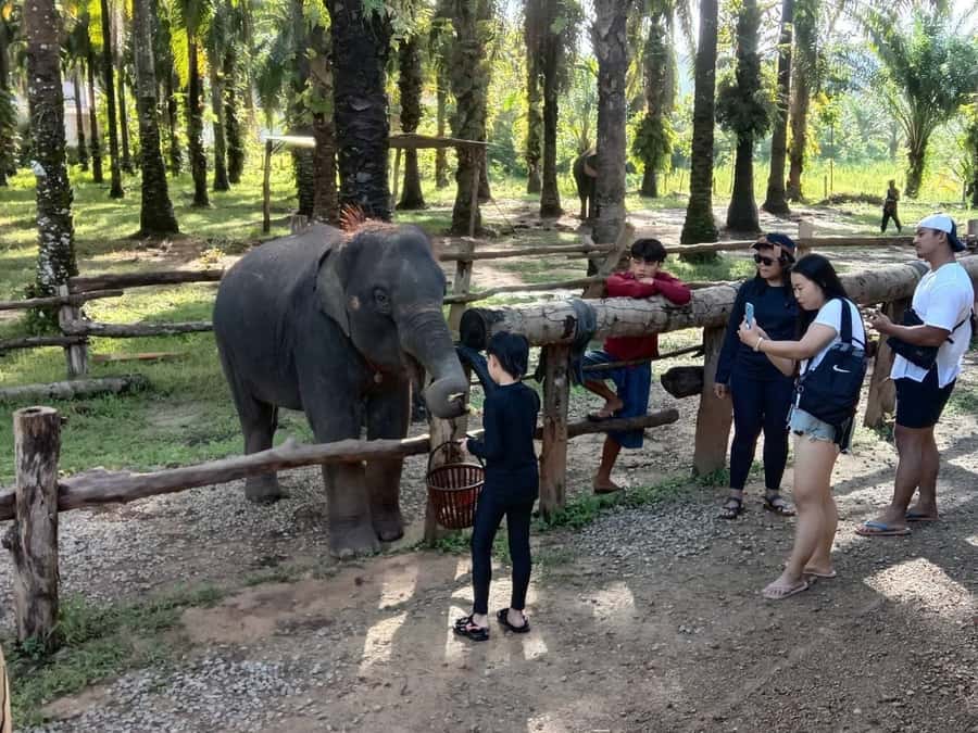 Krabi Elephant bathing and Atv adventure (30min/30min) - From Ao Nang hotel pickup to the jungle trail