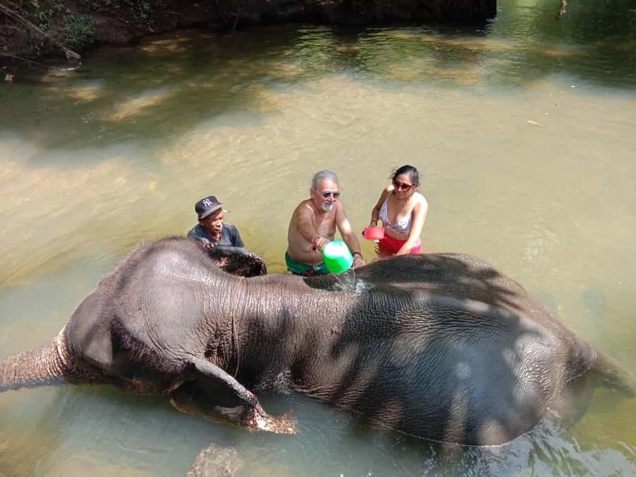 Krabi Elephant bathing and Atv adventure (30min/30min) - Washing, feeding, and playing with the elephant