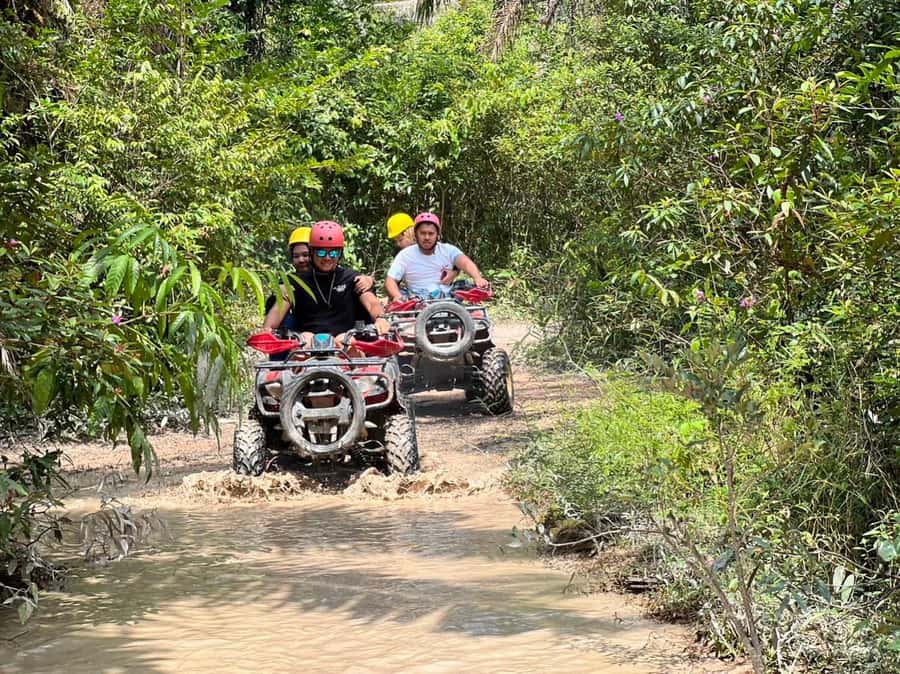 Krabi Elephant bathing and Atv adventure (30min/30min) - Is $69 a fair price?