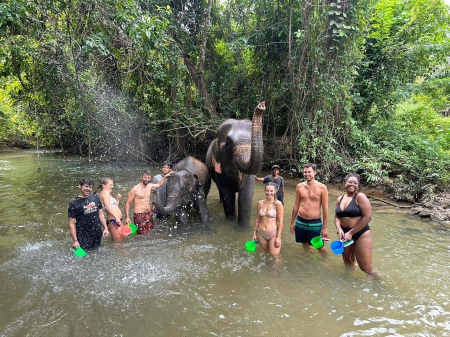 Krabi Elephant bathing and Atv adventure (30min/30min) - Watching the elephant’s mud bath