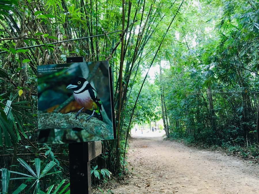 Krabi: Emerald Pool and Hot Spring Waterfall with ATV Riding - What to pack for a smoother day