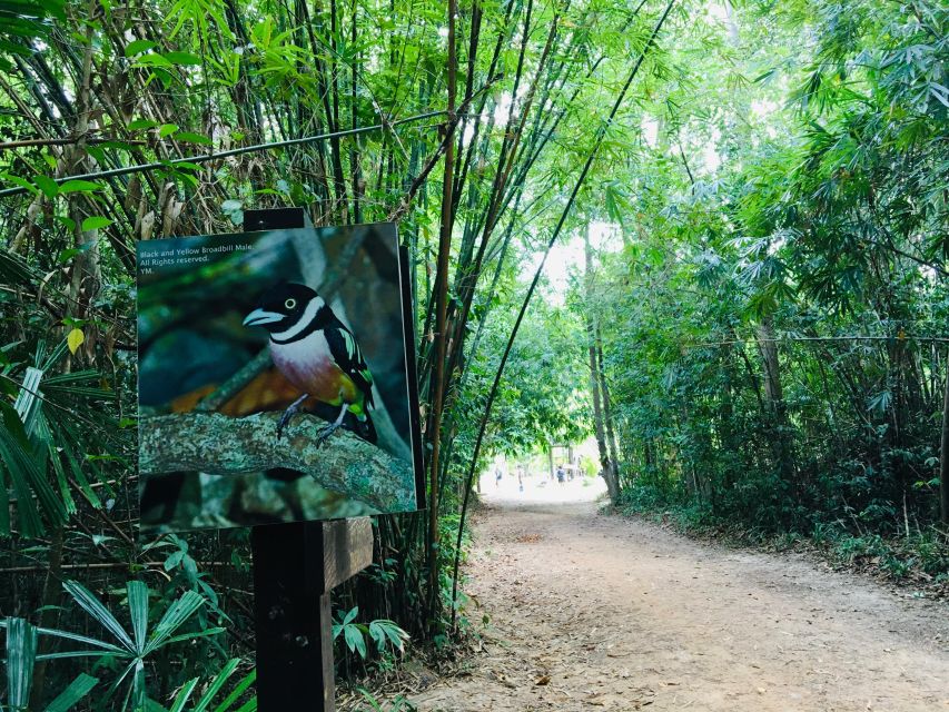 Krabi: Emerald Pool and Hot Spring Waterfall with ATV Riding - ATV riding through the jungle