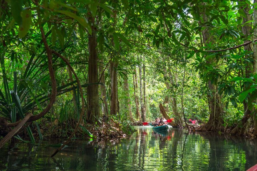 Krabi: Half-Day Blue Lagoon Kayaking at Klong Srakaew & ATV - Klong Srakaew is the calm center of the outing