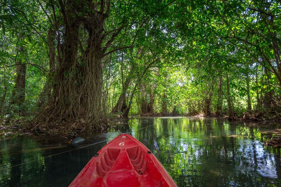 Krabi: Half-Day Blue Lagoon Kayaking at Klong Srakaew & ATV - Lunch makes the ATV option better value