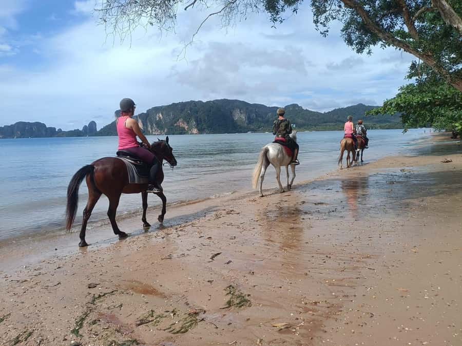 Krabi Horse Riding on the Beach and atv Extreme - What This Krabi Adventure Actually Offers