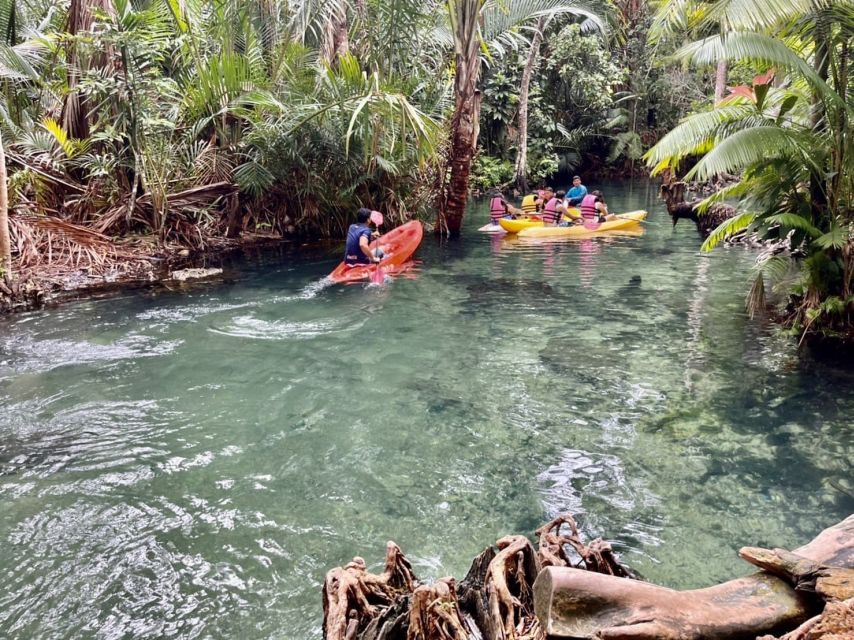 Krabi: Khlong Nam Sai Lagoon with Kayaking & Optional ATV - Kayaking through plantations, orchids, and rainforest