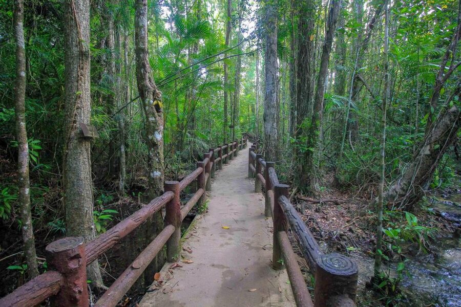 Krabi Outback Explorer with Thrilling ATV Ride - Walking through Khao Pra Bang Khram Wildlife Sanctuary