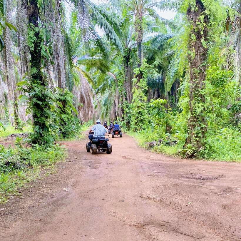 Krabi: Saitai Mountain Tail ATV Adventure - Timing, cancellation, and practical planning