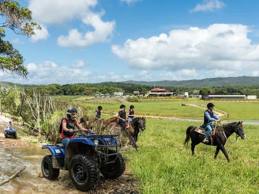 Kuranda: Quad Ride Bike and petting farm - Four details that shape the experience