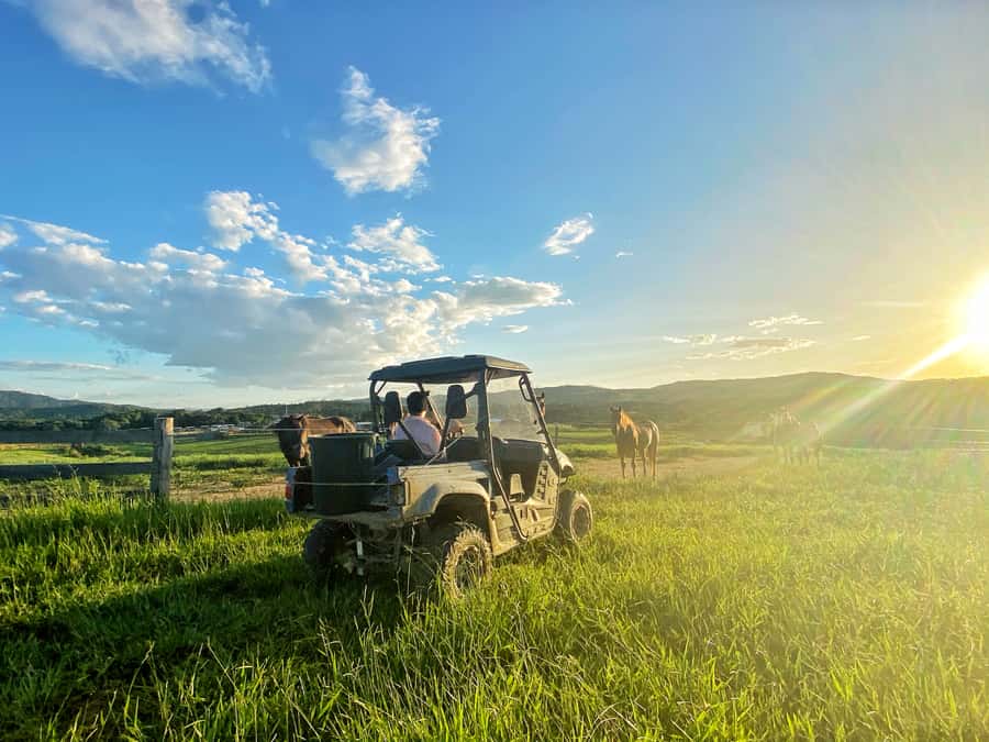 Kuranda: Quad Ride Bike and petting farm - One hour through paddocks and rainforest