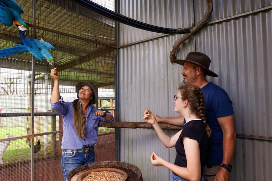 Kuranda: Quad Ride Bike and petting farm - What the $126 price buys you