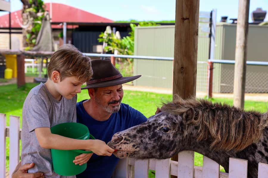 Kuranda: Quad Ride Bike and petting farm - How the experience feels overall