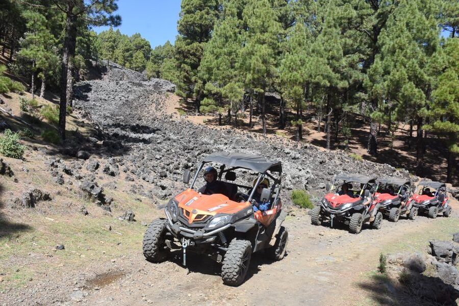 La Palma: Volcano Route Buggy Tour (Price Per Vehicle) 2 PAX - Pine forest and Tajogaite’s 2021 eruption site