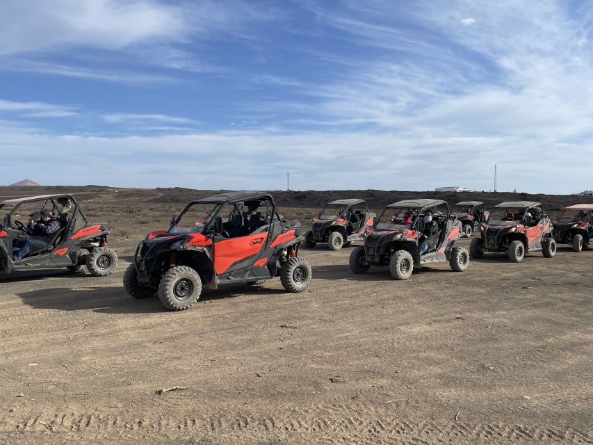 Lanzarote: Guided Can-Am Trail Buggy Tour - Who should book this tour?
