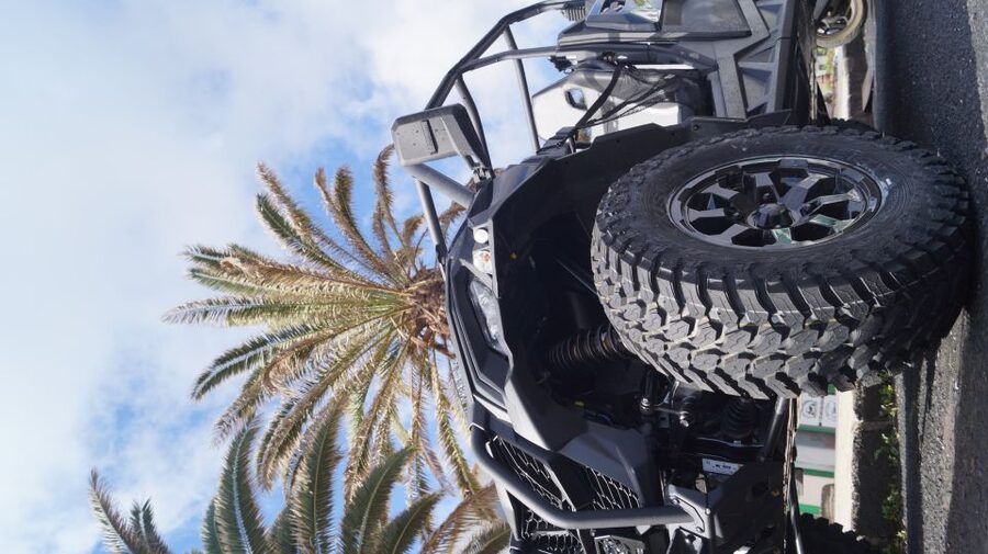 Lanzarote: On-Road Guided Buggy Volcano Tour - Through La Geria’s black vineyards