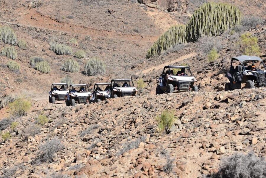 Las Palmas: Gran Canaria Guided Buggy Tour - Key points to know before booking