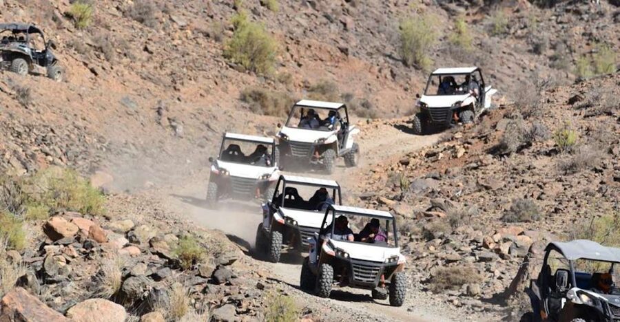 Las Palmas: Gran Canaria Guided Buggy Tour - What this Gran Canaria buggy tour is really like
