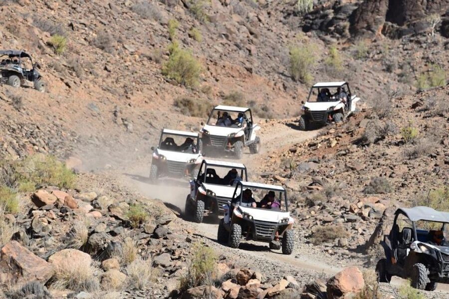 Las Palmas: Gran Canaria Guided Buggy Tour - Dust, bumps, and the gear you should bring