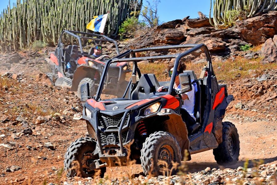 Las Palmas: Gran Canaria Guided Buggy Tour - Pickup and drop-off: useful, but not foolproof