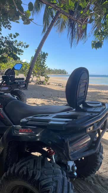 Las Terrenas: Private Coffee Trail ATV Tour in Samana - Cooling Off at the Mangrove Beach