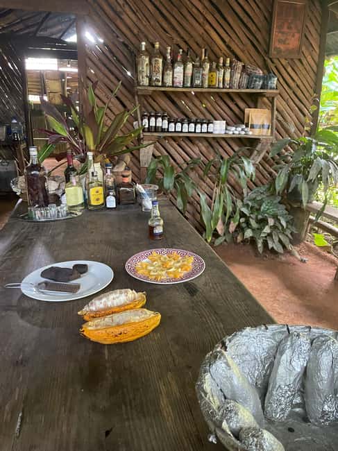Las Terrenas: Private Coffee Trail ATV Tour in Samana - How Vincent Shapes the Experience