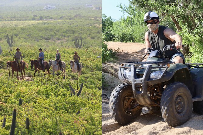Los Cabos ATV and Pacific Horseback Riding Combo Tour - What the $111.43 price really covers