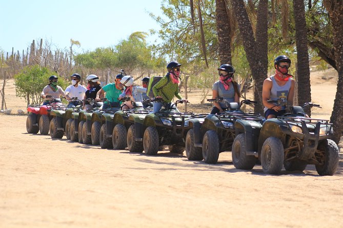 Los Cabos ATV and Pacific Horseback Riding Combo Tour - Pacific views, tall cactus, and winter whales