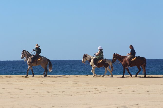 Los Cabos ATV and Pacific Horseback Riding Combo Tour - What I like most about the ranch
