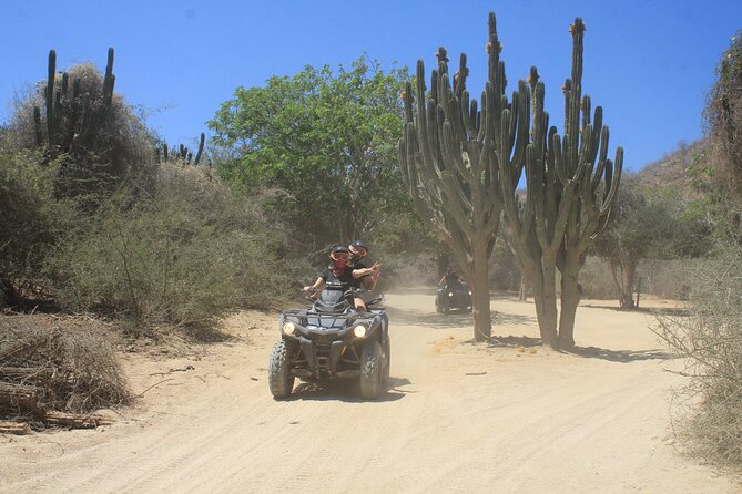 Los Cabos Beach & Desert Tour in Automatic ATV + Tequila Tasting - Group Tour or Private Upgrade?